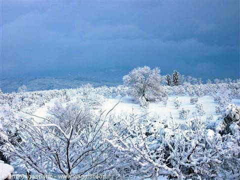Scandinavian landscape