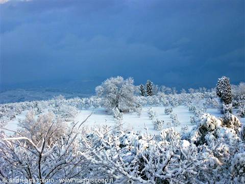 and with snow