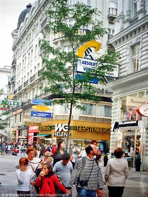 Pedestrians on a Vienna shopping street with shop signs and historic buildings