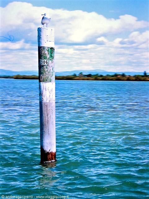 Lagoon