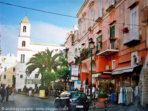 White bell tower and palms among shops and ochre buildings lining the street