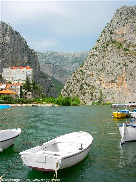 White boats moored on green waters of the Ombla channel