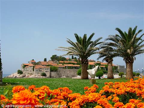 Sveti Stefan old town on the rocky islet among palms and orange flowers
