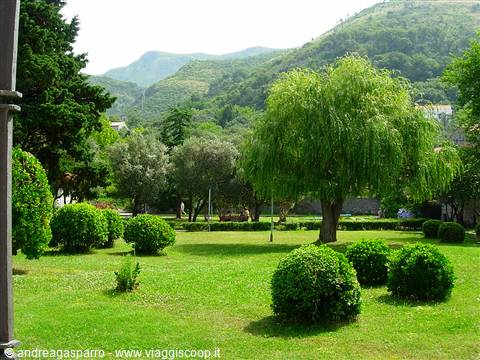 Green park with weeping willow, rounded shrubs and mountains in background