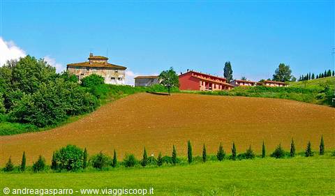 Plowed hill with stone farmhouse and red house among cypress rows
