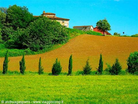 Farmhouse on a hill among cypress rows and green cultivated fields