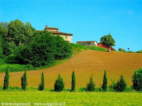 Stone farmhouse on plowed hill, cypress trees and green fields