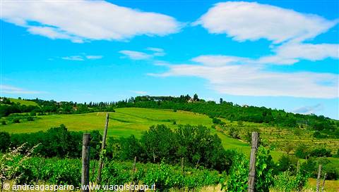 Vineyards on green hills with cypress trees under a blue cloudy sky, Val d'Orcia