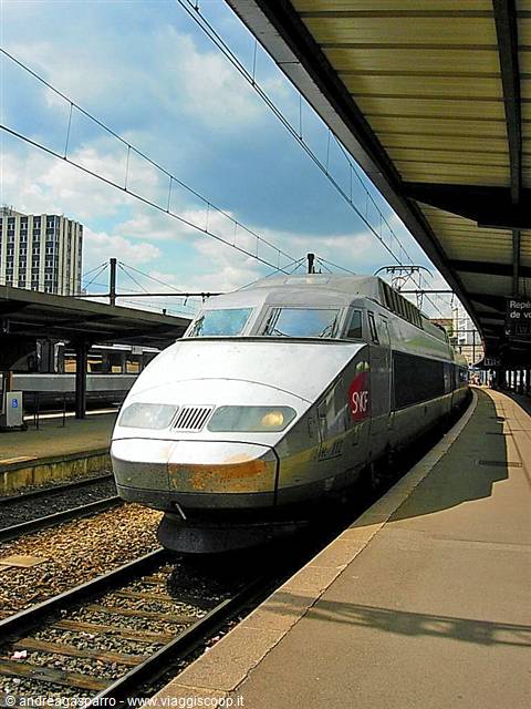 SNCF TGV train stopped under the station canopy in daylight