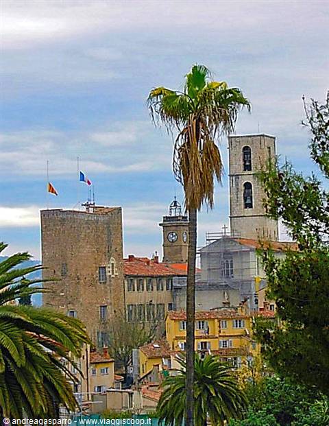 Grasse