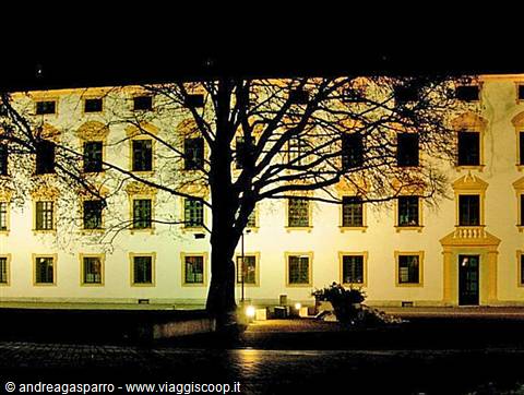 Illuminated building facade at night, bare trees in foreground