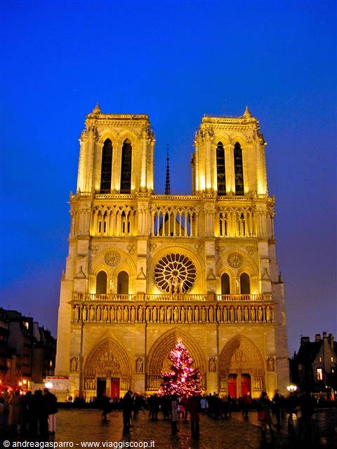 Notre-Dame de Paris lit at dusk, Christmas tree in front of the facade