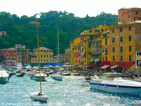 Sailboats and motor yachts in the harbor in front of Portofino's colorful houses