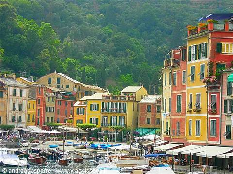 Colorful houses overlooking Portofino harbor, moored boats beneath green hills