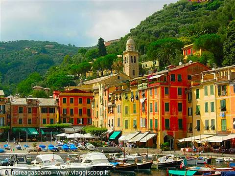 Colorful houses and bell tower overlook Portofino harbor with moored boats