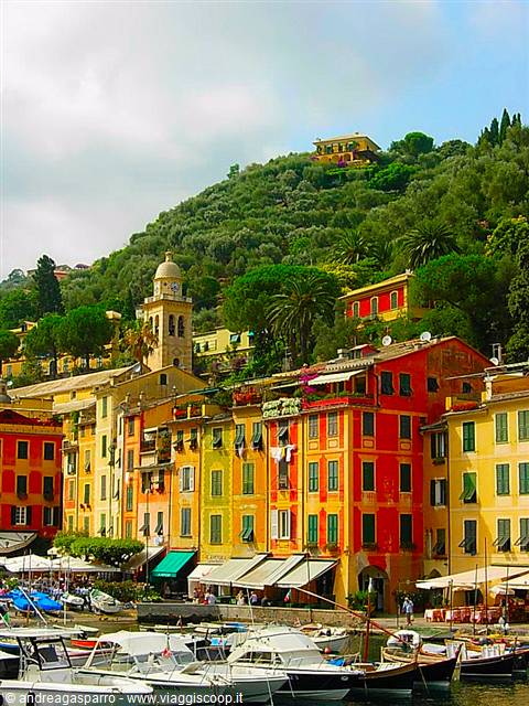 Portofino's colorful houses overlooking the harbor full of boats
