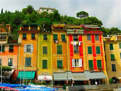 Portofino, colorful houses with laundry on balconies above cafés