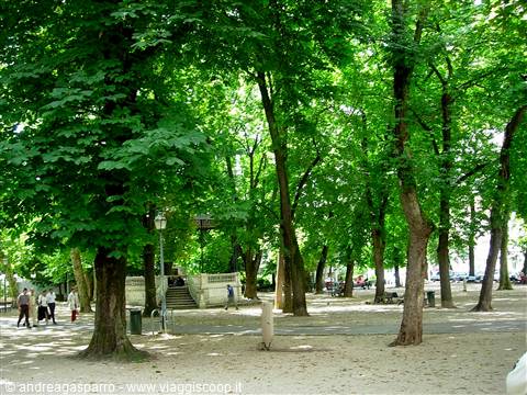 Tall green trees in a city park with people strolling along the paths