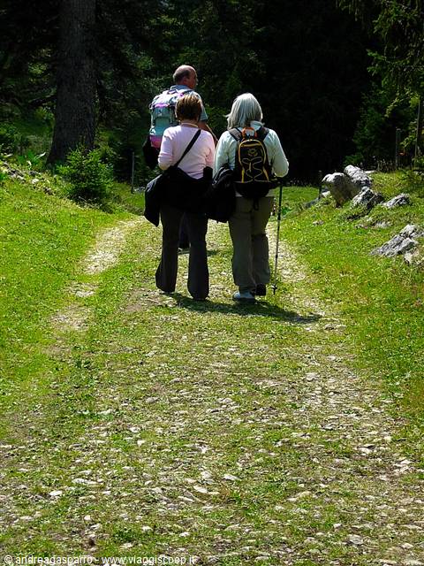 Three hikers with backpacks walk up a grassy dirt trail among firs
