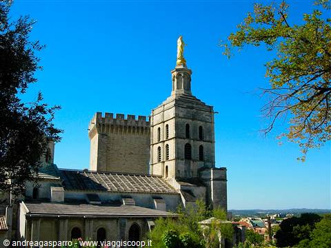 The cathedral