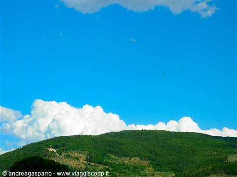 Green wooded hill under white cumulus clouds and blue sky