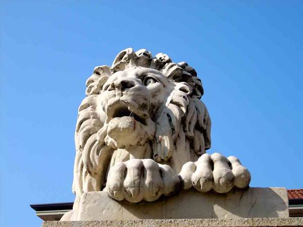 A lion on the Ponte dei Leoni