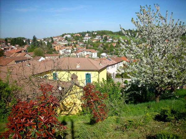 From the Belvedere of San Salvatore Monferrato