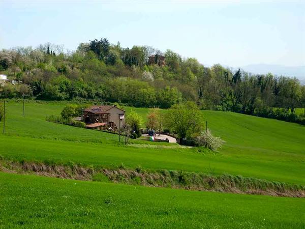 View of the Trattoria La Serignola and the surrounding landscape