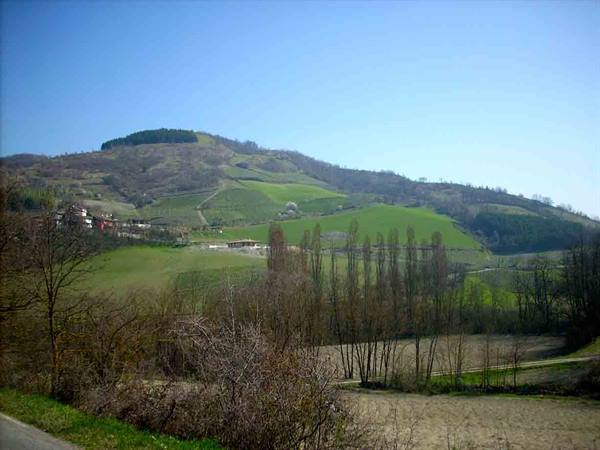 The hills of Borgo Priolo