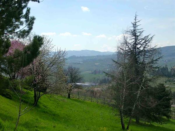 The landscape around Costigliole d'Asti