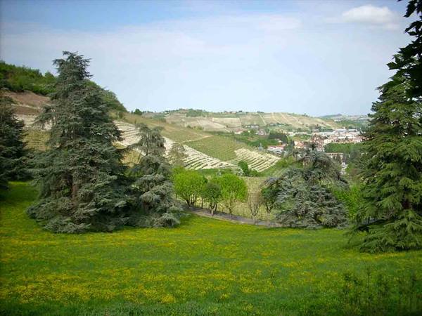 The landscape around Canelli