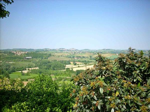 Panorama from Olivola