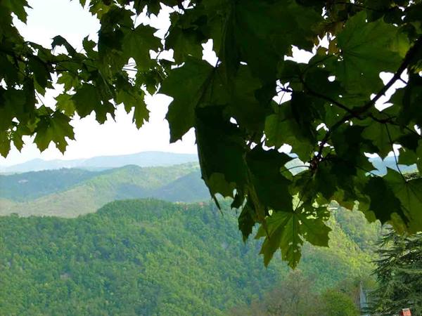 View from Ponzone