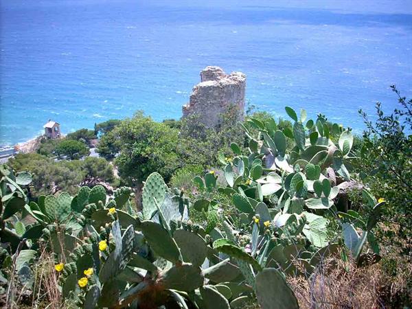 The ancient tower, seen from Santa Croce
