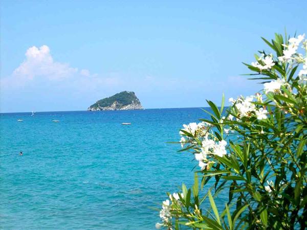 View of Bergeggi Island