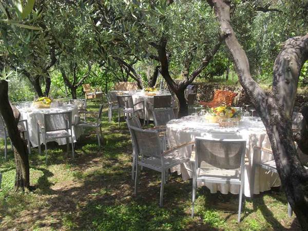Among the olive trees of Hotel Ristorante Oro Verde in Bergeggi