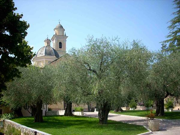 Atmospheres of peace among the olive trees