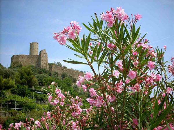 The Castle of Noli