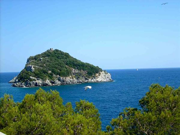 Bergeggi Island