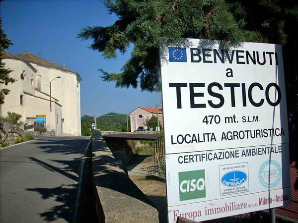 Welcome to Testico!