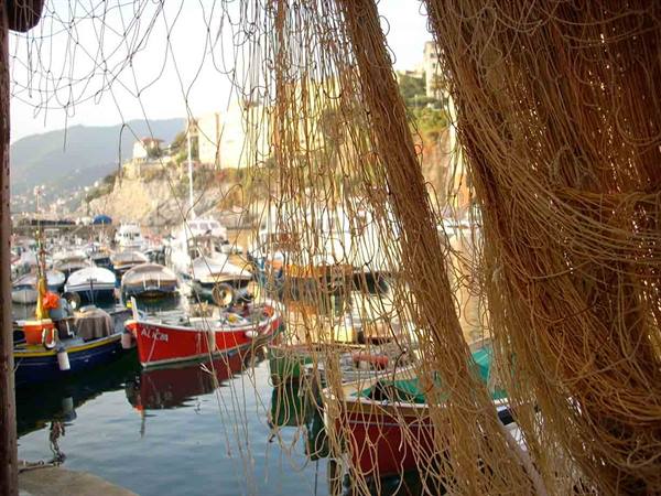 View of the little harbour of Camogli