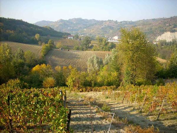 View of the hills and vineyards of Prasco