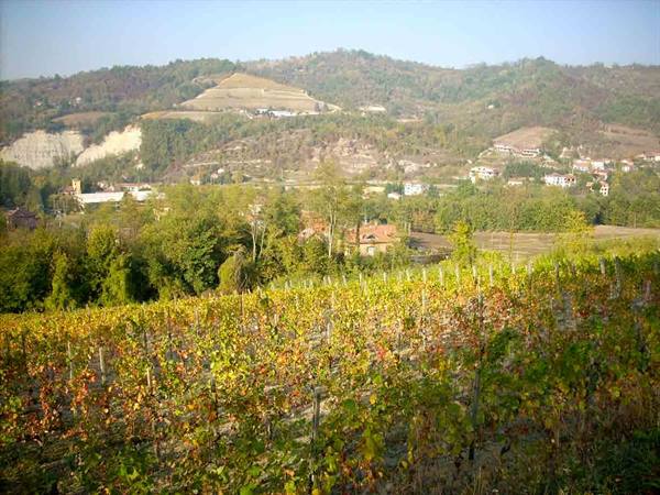 View of the hills and vineyards of Prasco