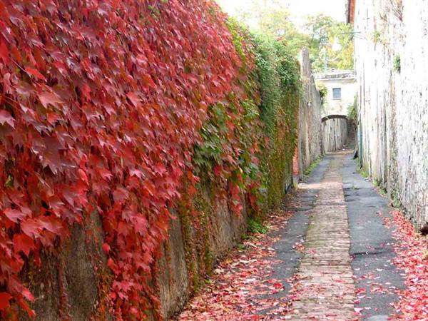 Autumn in the centre of Voltri