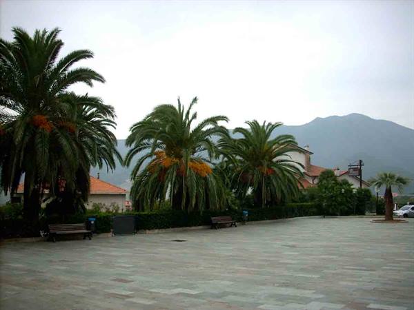 View of the mountains from the centre