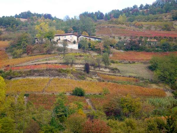 The splendid hills around Alba