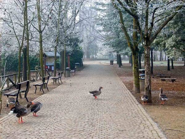 In the Legnano Park