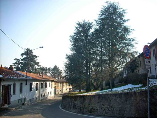 A glimpse of Olgiate Olona