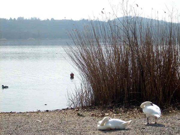 Lake Varese