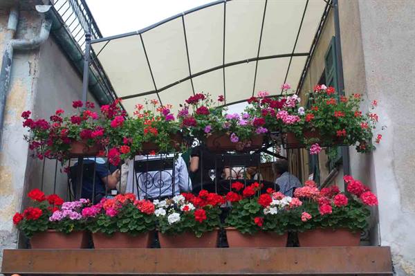The flowered terrace of Antica Trattoria della Posta